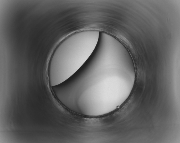 X0000089930800200706290754