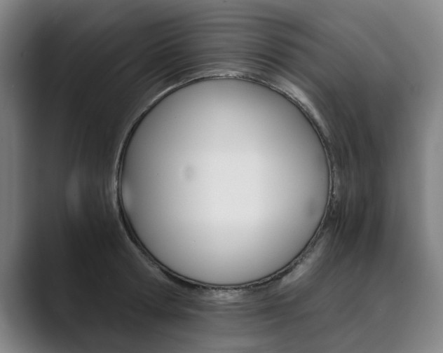 X0000089930802200706290754