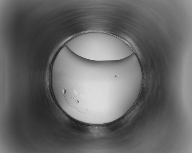 X0000089930804200706290754