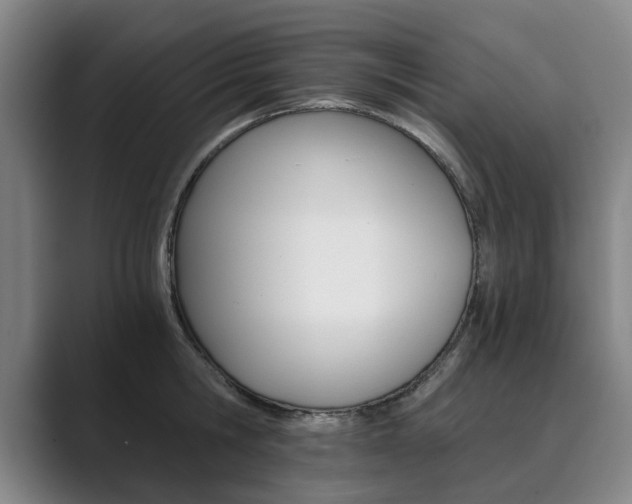 X0000089930806200706290754