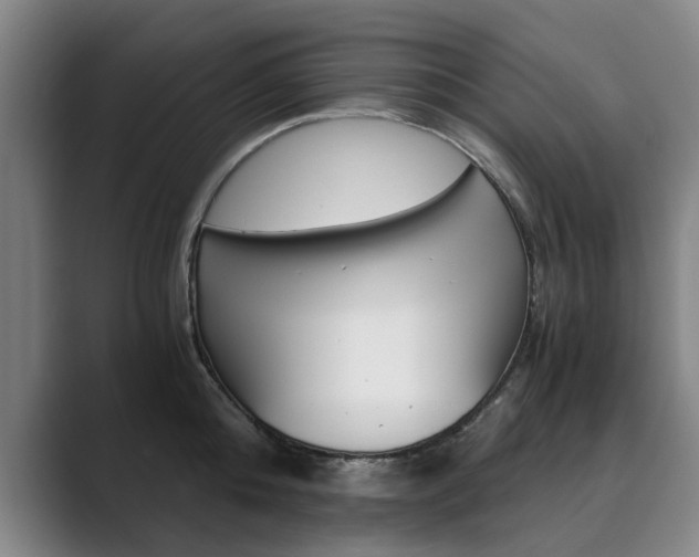 X0000089930808200706290754