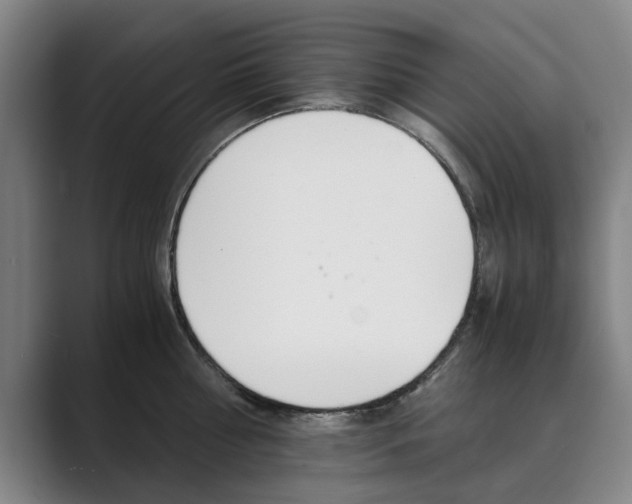 X0000089930810200706290754