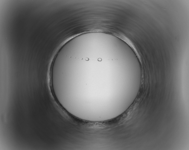 X0000089930811200706290754