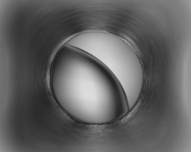 X0000089930812200706290754