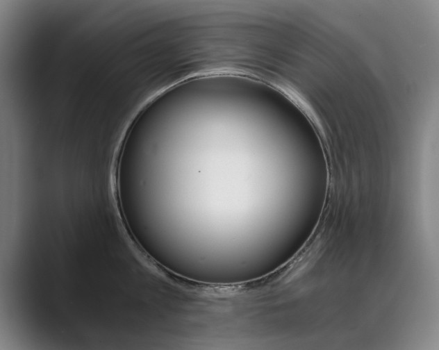 X0000089930813200706290754