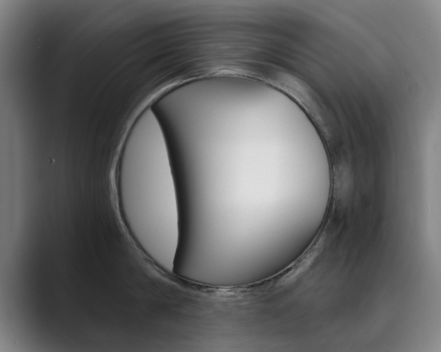 X0000089930814200706290754