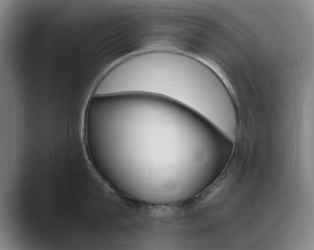 X0000089930815200706290754