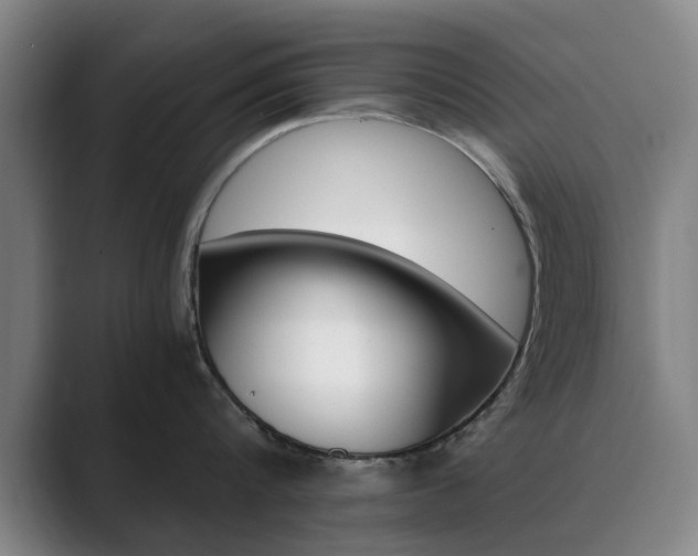 X0000089930816200706290754