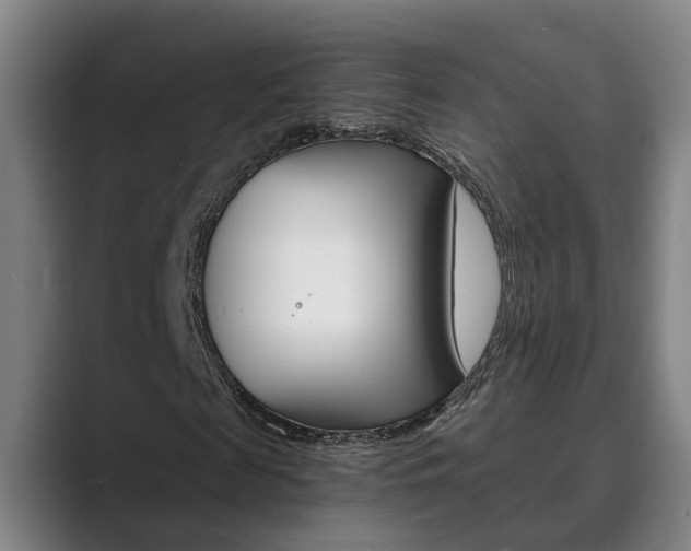 X0000089930817200706290753
