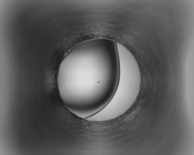 X0000089930818200706290753