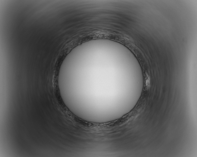 X0000089930819200706290753