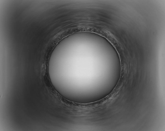 X0000089930821200706290753