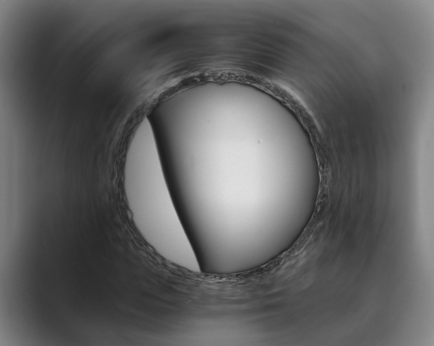 X0000089930823200706290753