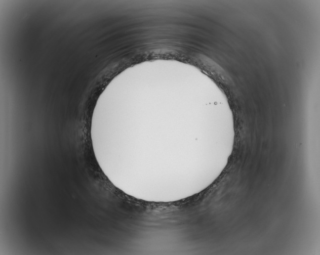 X0000089930824200706290753