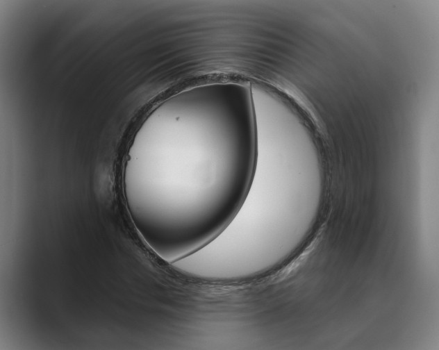 X0000089930826200706290753