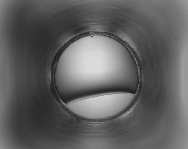 X0000089930829200706290753