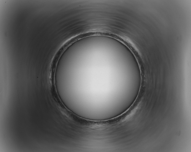 X0000089930830200706290753