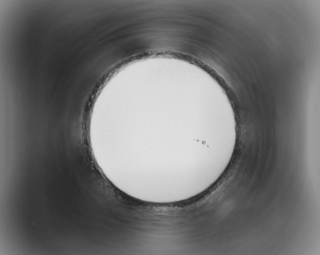 X0000089930832200706290753