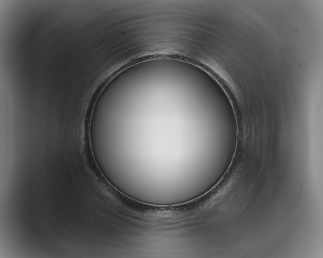 X0000089930834200706290753