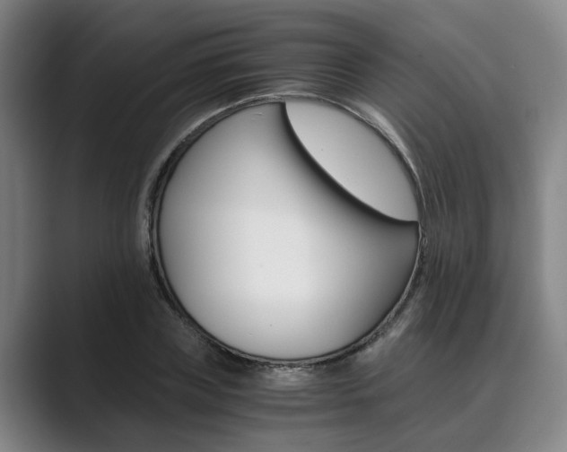X0000089930835200706290753