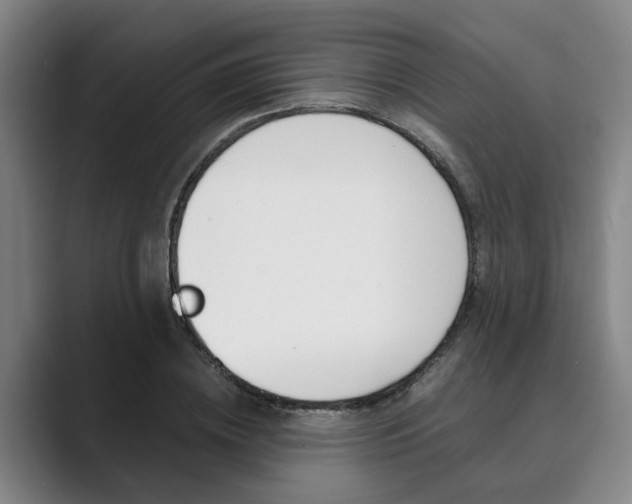 X0000089930836200706290753