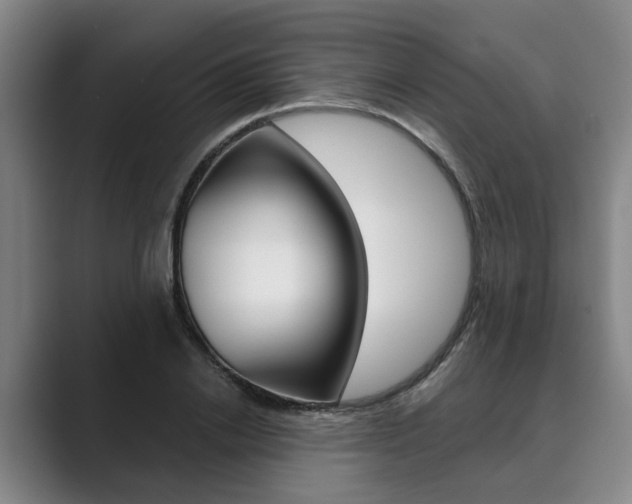 X0000089930838200706290753