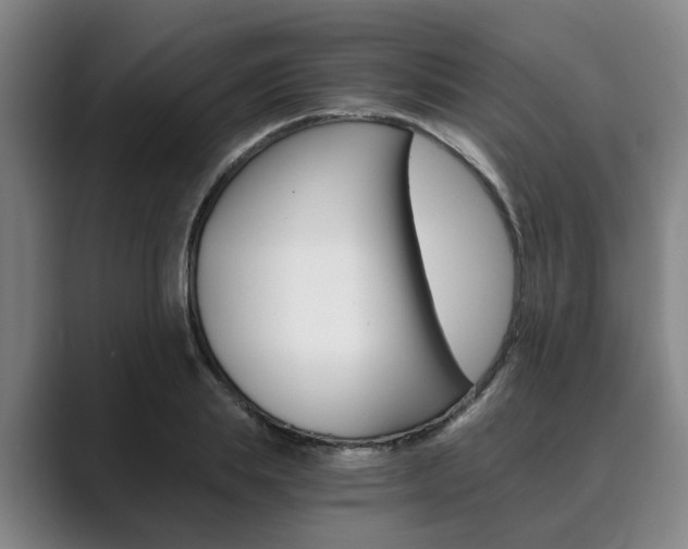 X0000089930839200706290754