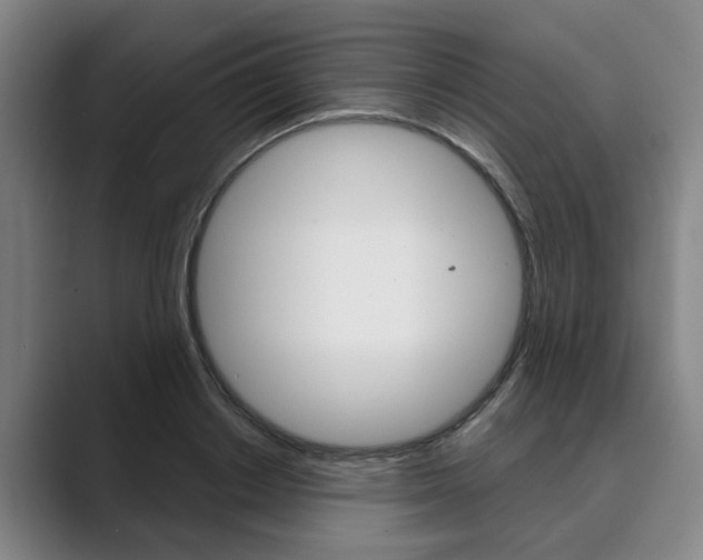 X0000089930842200706290754