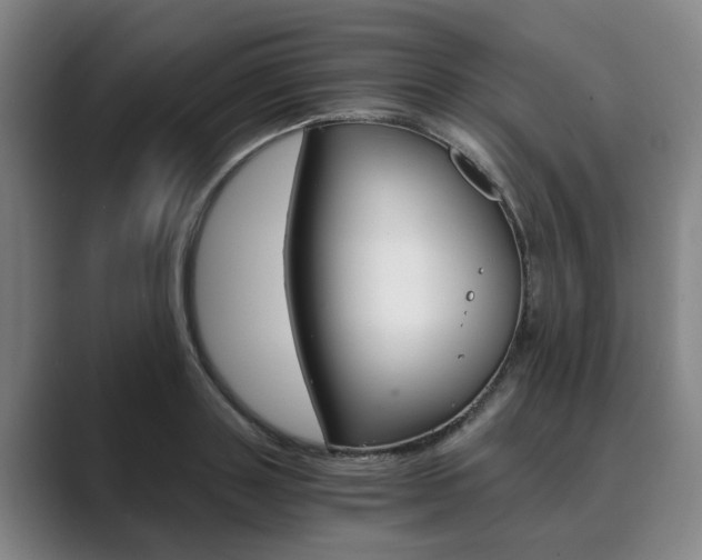 X0000089930843200706290754