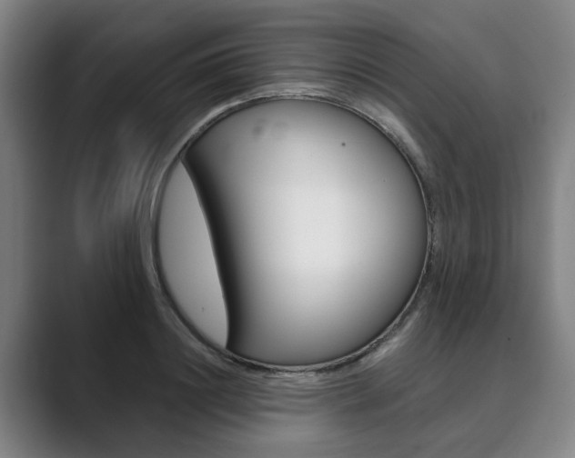 X0000089930844200706290754