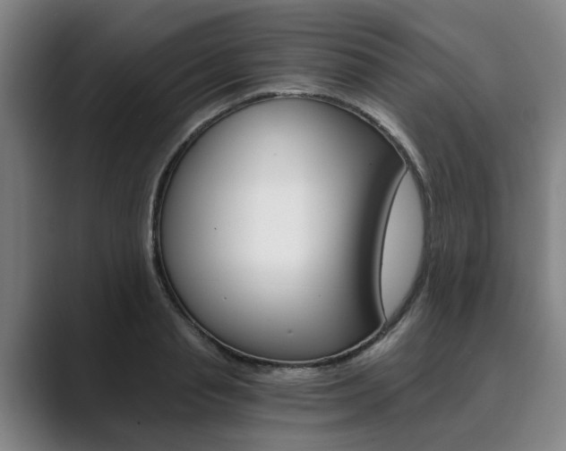 X0000089930845200706290754