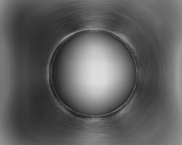 X0000089930846200706290754