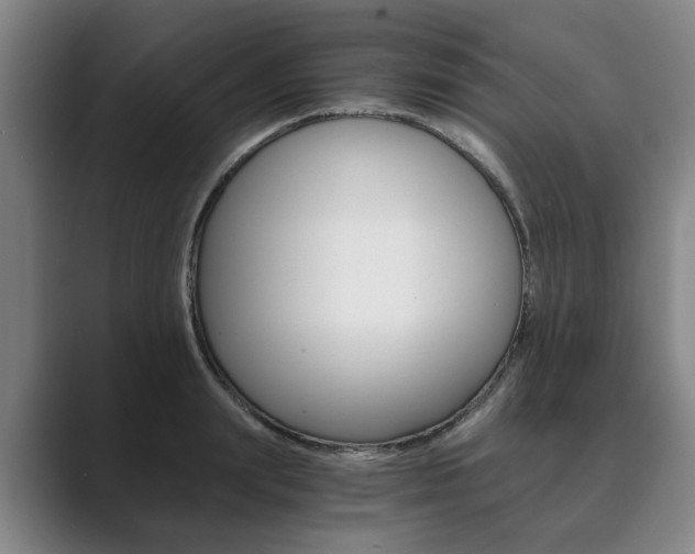 X0000089930847200706290754
