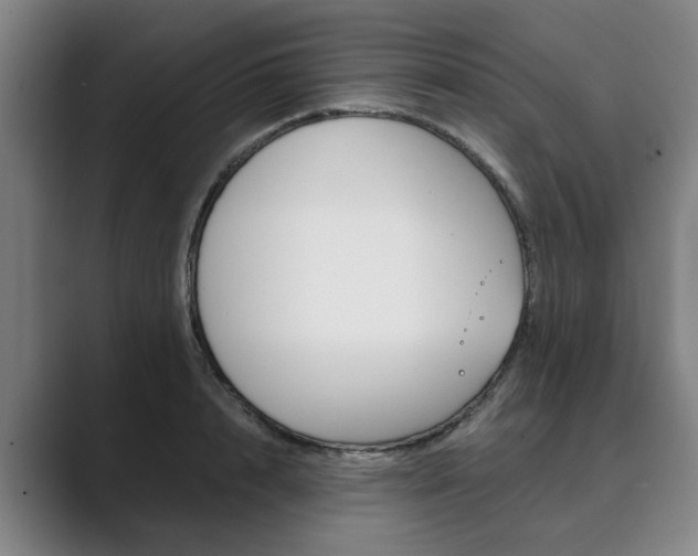 X0000089930848200706290754