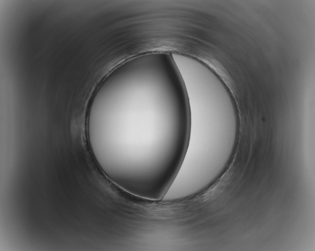 X0000089930850200706290754