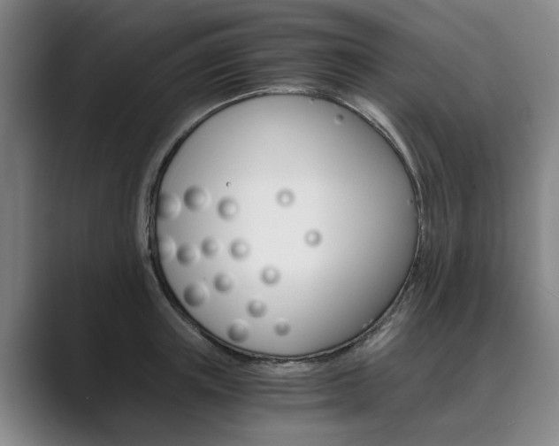 X0000089930851200706290754