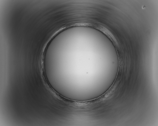 X0000089930852200706290754