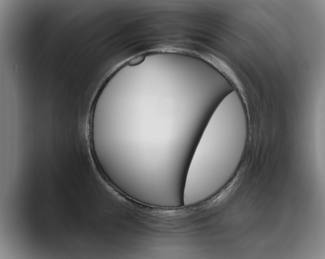X0000089930855200706290754