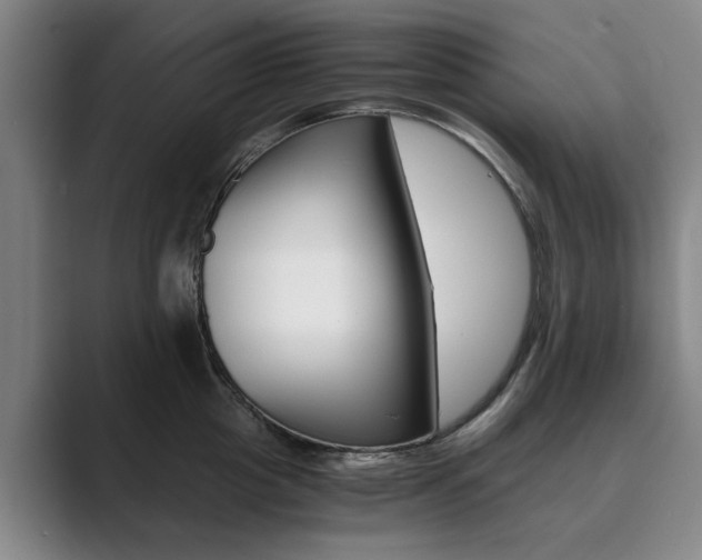 X0000089930857200706290754