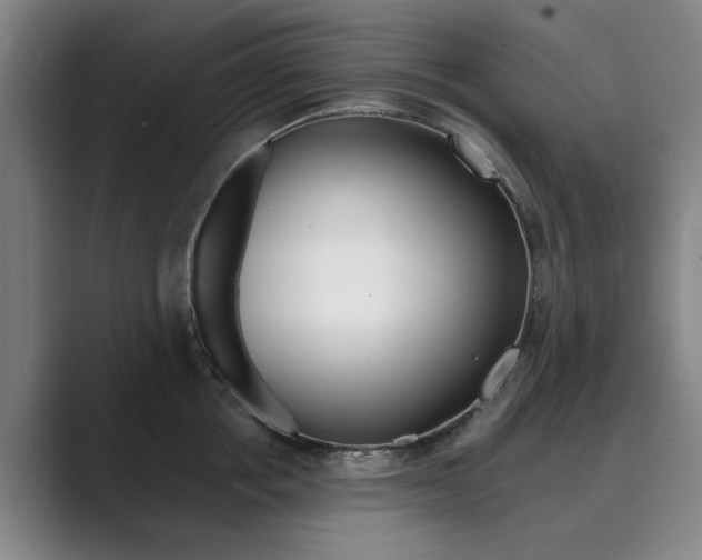 X0000089930858200706290754