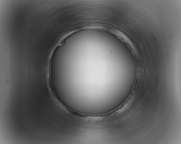 X0000089930860200706290754