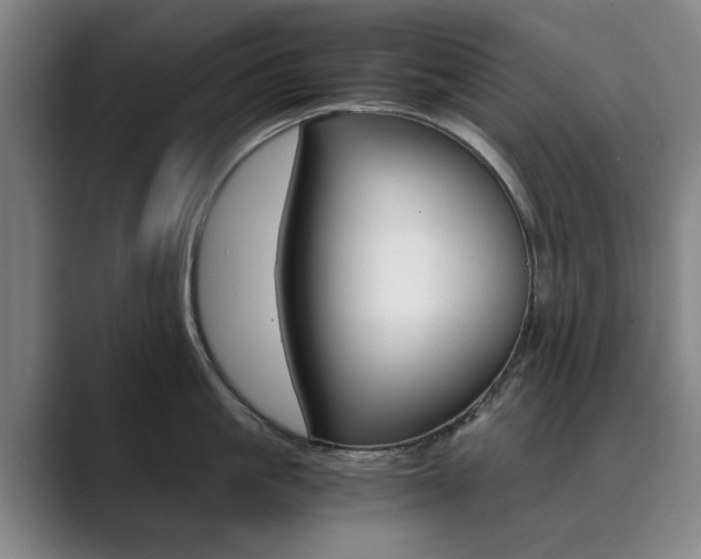 X0000089930861200706290754