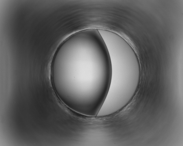 X0000089930862200706290754
