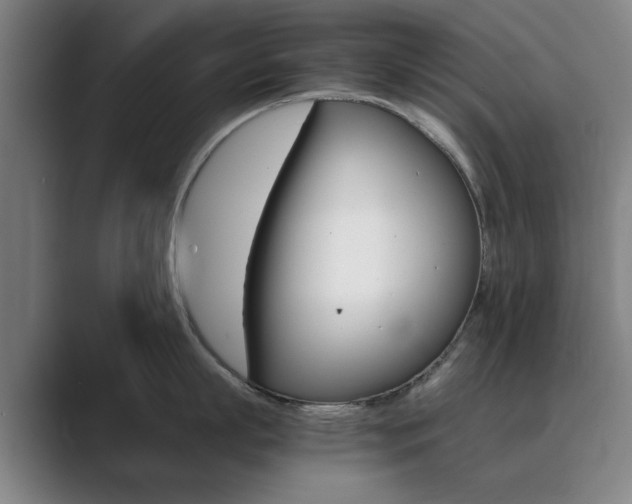 X0000089930863200706290754