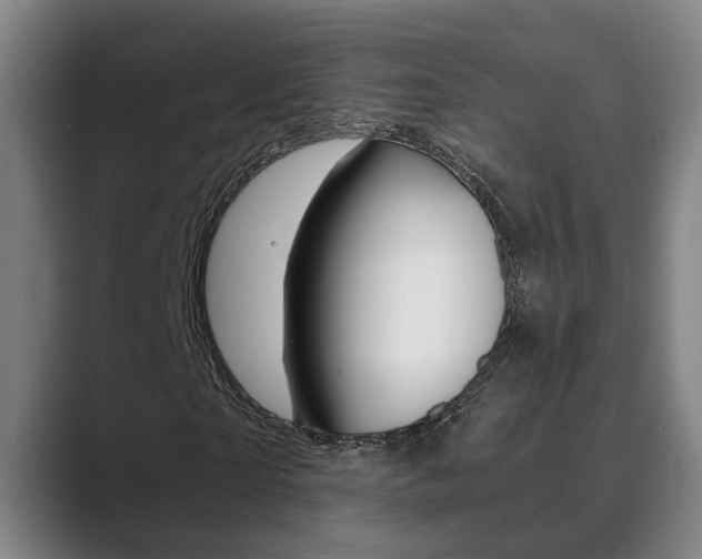 X0000089930865200706290753