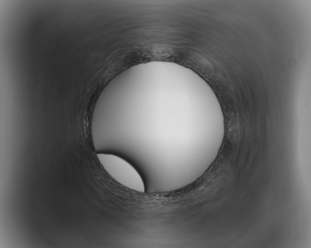 X0000089930866200706290753