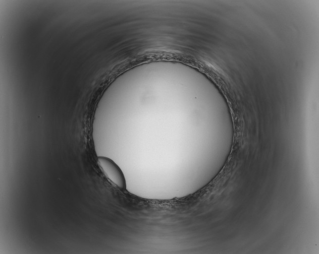 X0000089930870200706290753