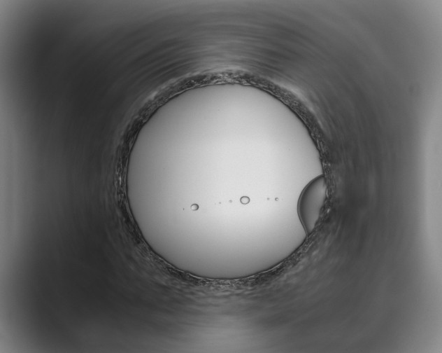 X0000089930871200706290753