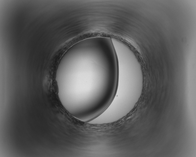 X0000089930872200706290753