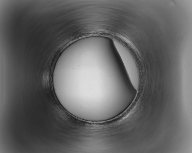 X0000089930873200706290753